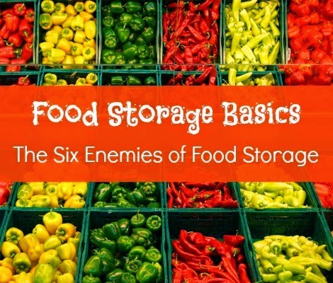 Survival Basics: The Six Enemies of Food Storage
