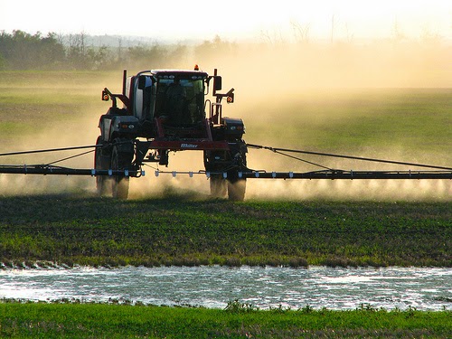 Children Suffer Genetic Damage from Pesticides in Argentina GM Soy Region