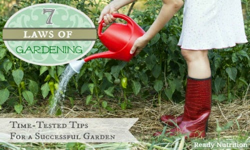 7 Laws of Gardening: Time-Tested Tips For Growing a Successful Garden