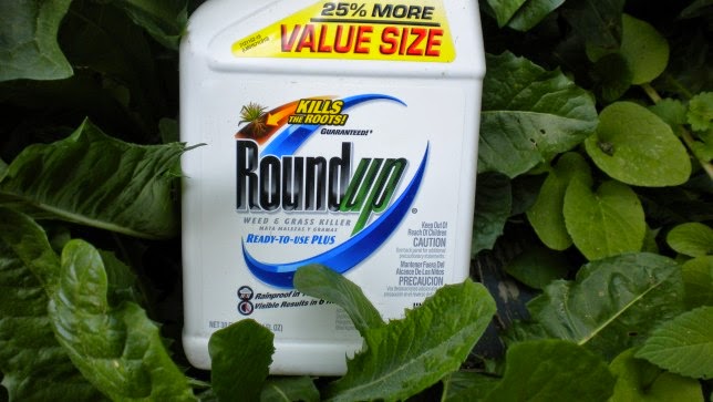 WHO Declares that Glyphosate Herbicides Probably Cause Cancer