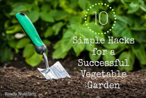 10 Simple Hacks for a Successful Vegetable Garden