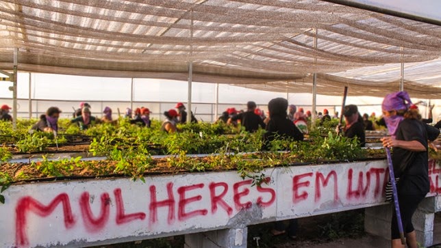 Brazilian Farmers Occupy and Cancel Approval Meeting for GMO Trees