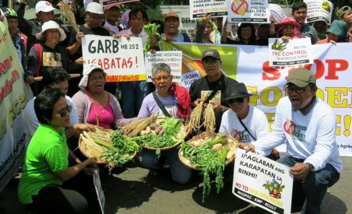 Pro-Golden Rice GMO Lobbyists Refused Farmers’ Challenge to Debate