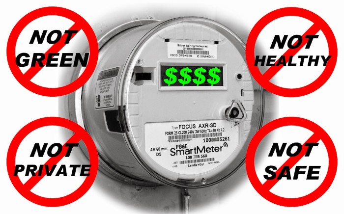 Smart Meters Unveiled