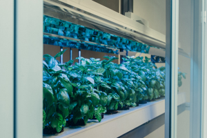 New Indoor Farming Device Can Grow Food With 95% Less Water