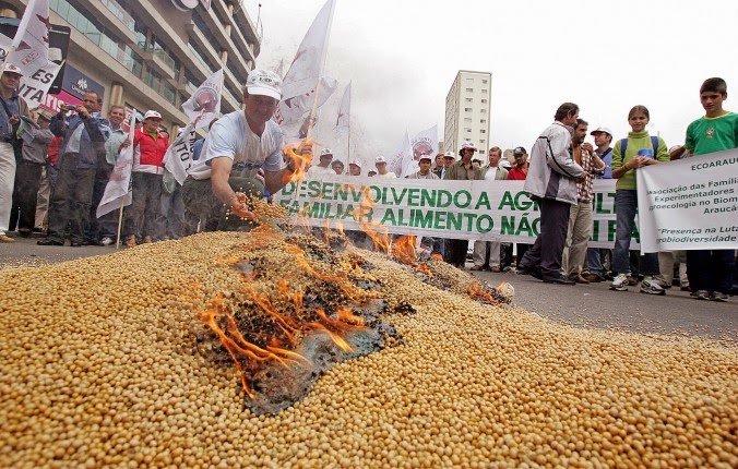 Brazil’s National Cancer Institute Names GM Crops as Cause of Massive Pesticide Use