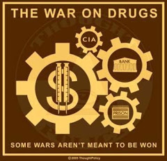 Is the War on Drugs the Answer?