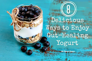 8 Delicious Ways to Enjoy Gut-Healing Yogurt