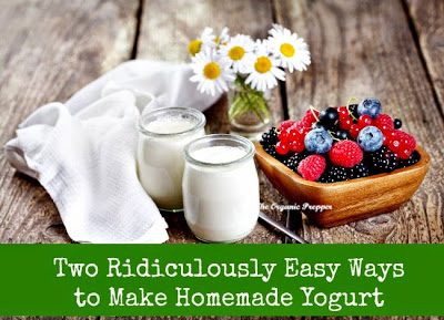 Two Ridiculously Easy Ways to Make Homemade Yogurt