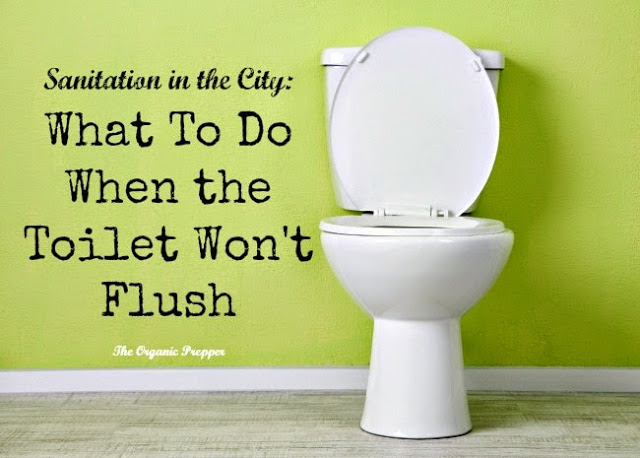 Sanitation in the City: What To Do When the Toilet Won’t Flush