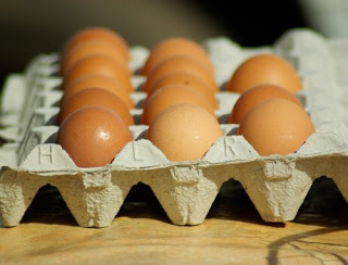 Egg Shortage In America As Bird Flu Has Already Killed 45 MILLION Chickens And Turkeys