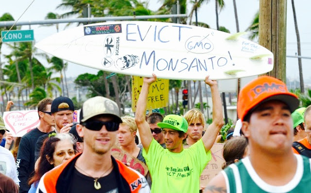 3 Examples Of How To Run GMO Crops Out Of Your Town