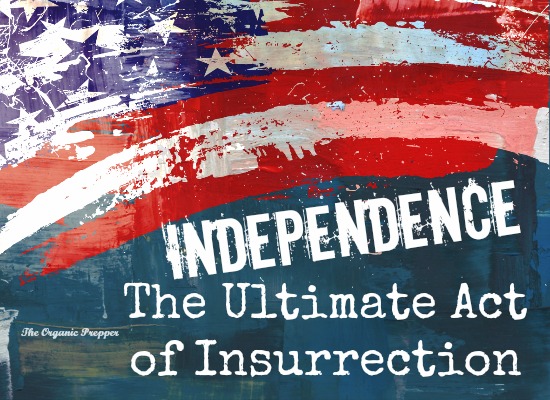 Independence: The Ultimate Act of Insurrection