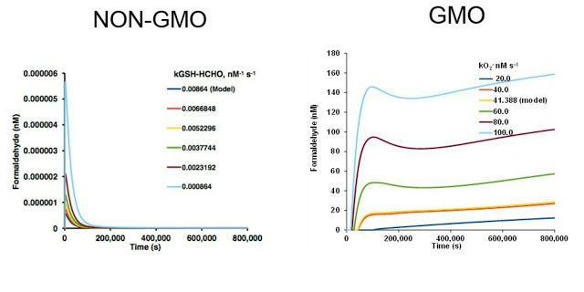 Peer-Reviewed Study: GMO Soy Accumulates Formaldehyde & Disrupts Plant Metabolism