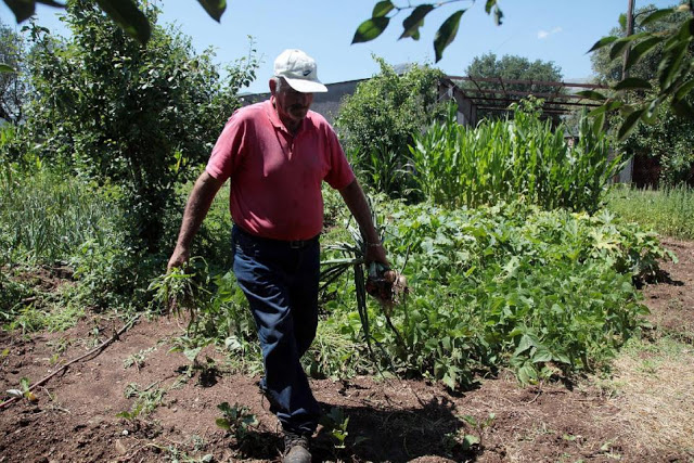 As Greece Falls, Will Those With Gardens Survive?