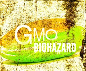 Germany to propose update of glyphosate’s hazard classification