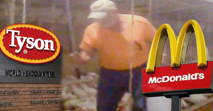 McDonald’s Under Fire after Hidden Footage Reveals the Truth Behind McNuggets