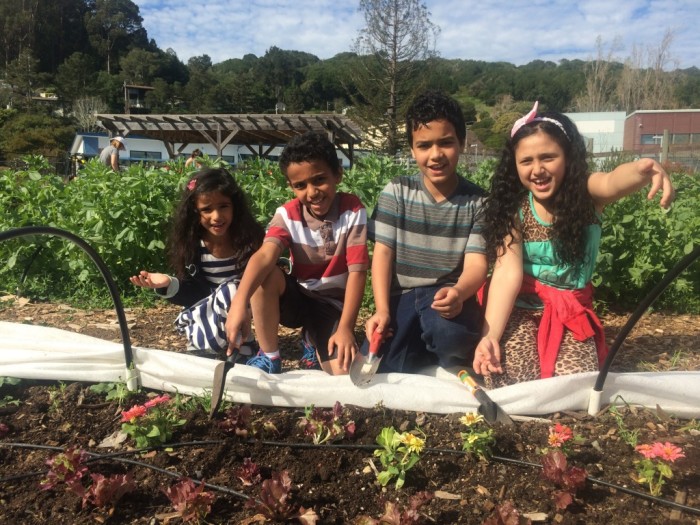 This US School District Is The First To Serve 100% Organic, GMO-Free Meals
