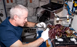 Astronauts Take First Bites of Their Space-Grown Food