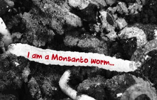 EPA Raises Alarm Over GMO Crops That Are Breeding Swarms Of Mutant Bugs