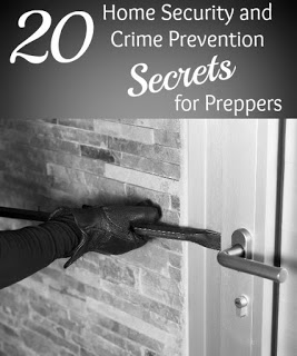 20 Home Security and Crime Prevention Secrets for Preppers