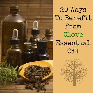20 Ways To Benefit from Clove Essential Oil