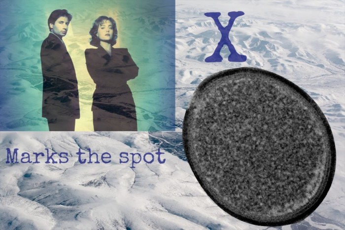 30,000 Year Old Virus to Be Resurrected Played Out in The X-Files?