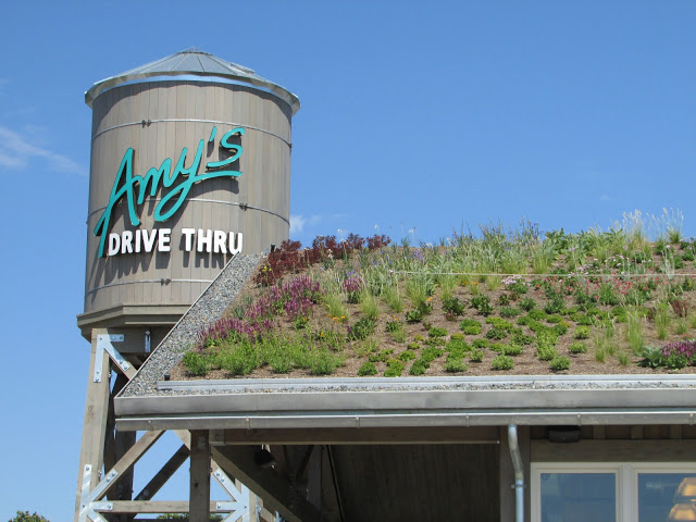 Lines Out the Door for Nation’s First Major Organic Drive-Thru Fast Food Restaurant