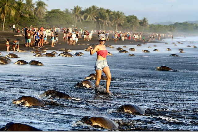 Photos of Beach Tourists Prove We’re Becoming Disconnected From Nature