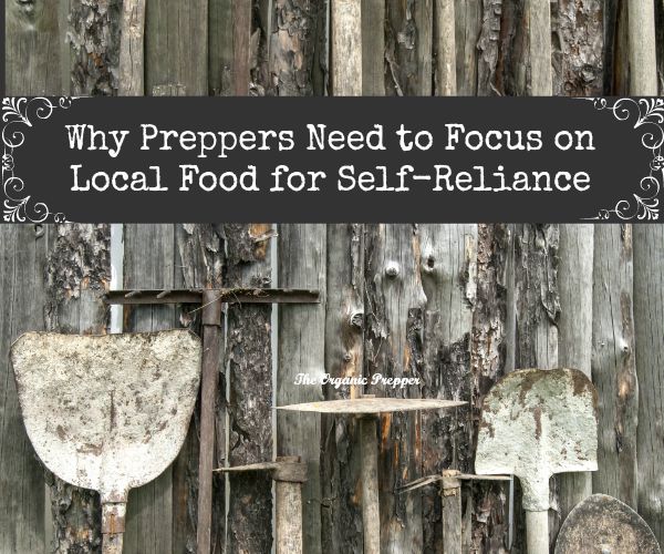 Why Preppers Need to Focus on Local Food for Self-Reliance
