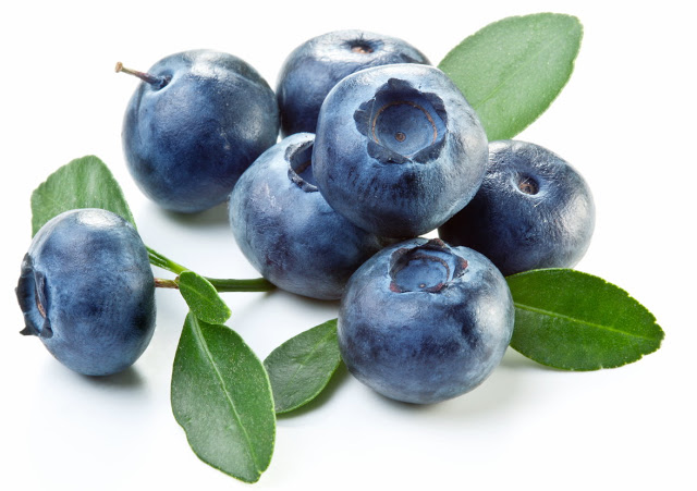 Blueberry extract could help fight gum disease and reduce antibiotic use