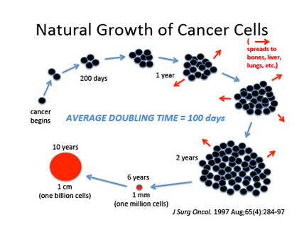 How Fast Does Cancer Grow?