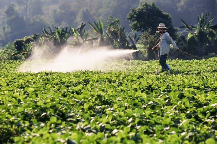 Monsanto’s Cancer Causing Herbicide Doesn’t Even Work, Actually Makes Weeds Stronger: Report
