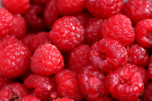 DIY Guide To Growing Raspberries