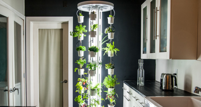 City-Dwellers Can Become Self-Sufficient Gardeners With This Indoor Vertical Farm