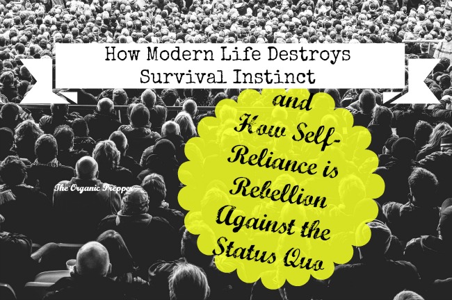 How Modern Life Destroys Survival Instinct