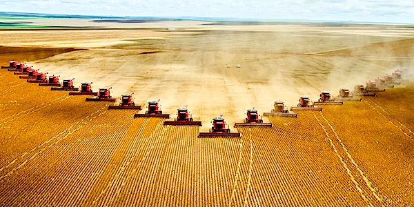 The Expanding War Against Nature