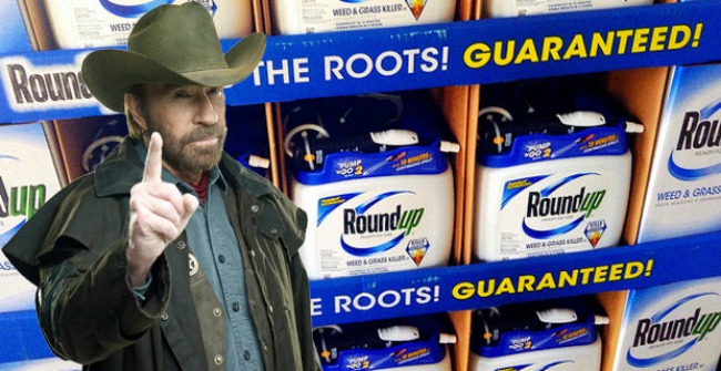 Chuck Norris Calls Out Monsanto For Poisoning The Food Supply