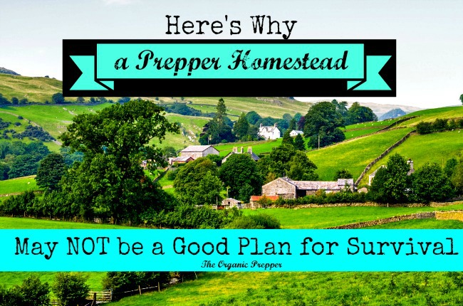 Here’s Why a Prepper Homestead May Not a Good Plan for Survival