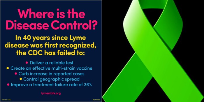 “CDC Lyme Group Violates Law with Preferential Treatment of IDSA,” Advocates Say