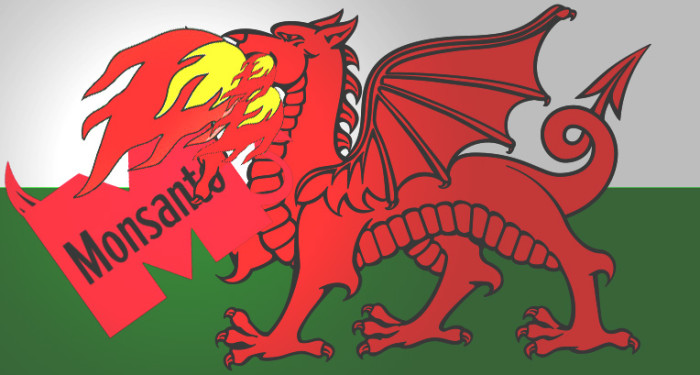 Wales Joins 15 Other Countries And Bans GMOs!