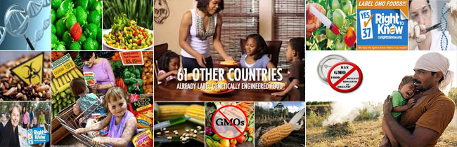 44 reasons to ban or label gmos
