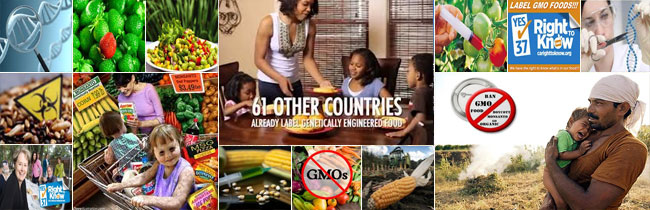 44 Reasons to Ban or Label GMOs