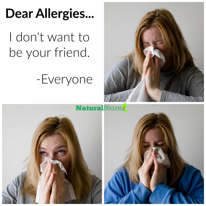 5 natural antihistamines that stop allergy symptoms
