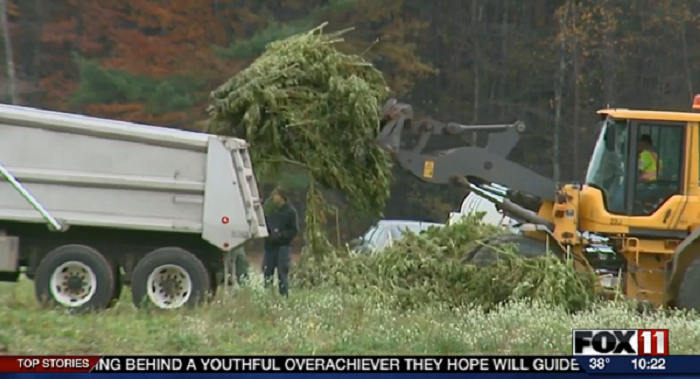 Feds Raid Native American Tribal Lands, Seize and Destroy 30,000 Hemp Crops