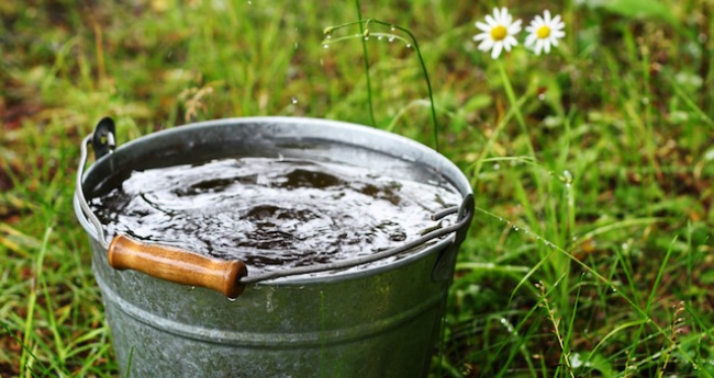 Government Criminalizing Rainwater Collection in All Out War on Self Sufficiency