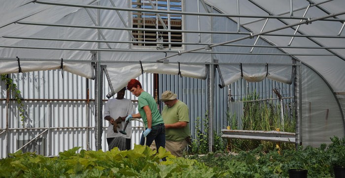 Entrepreneur Employs Ex-Cons to Turn City Destruction into Massive 60-acre Urban Farm