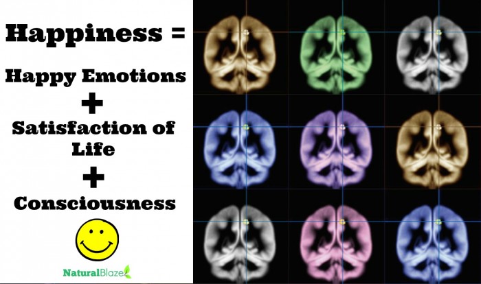 MRI Scans May Have Located the Intersection of Happiness