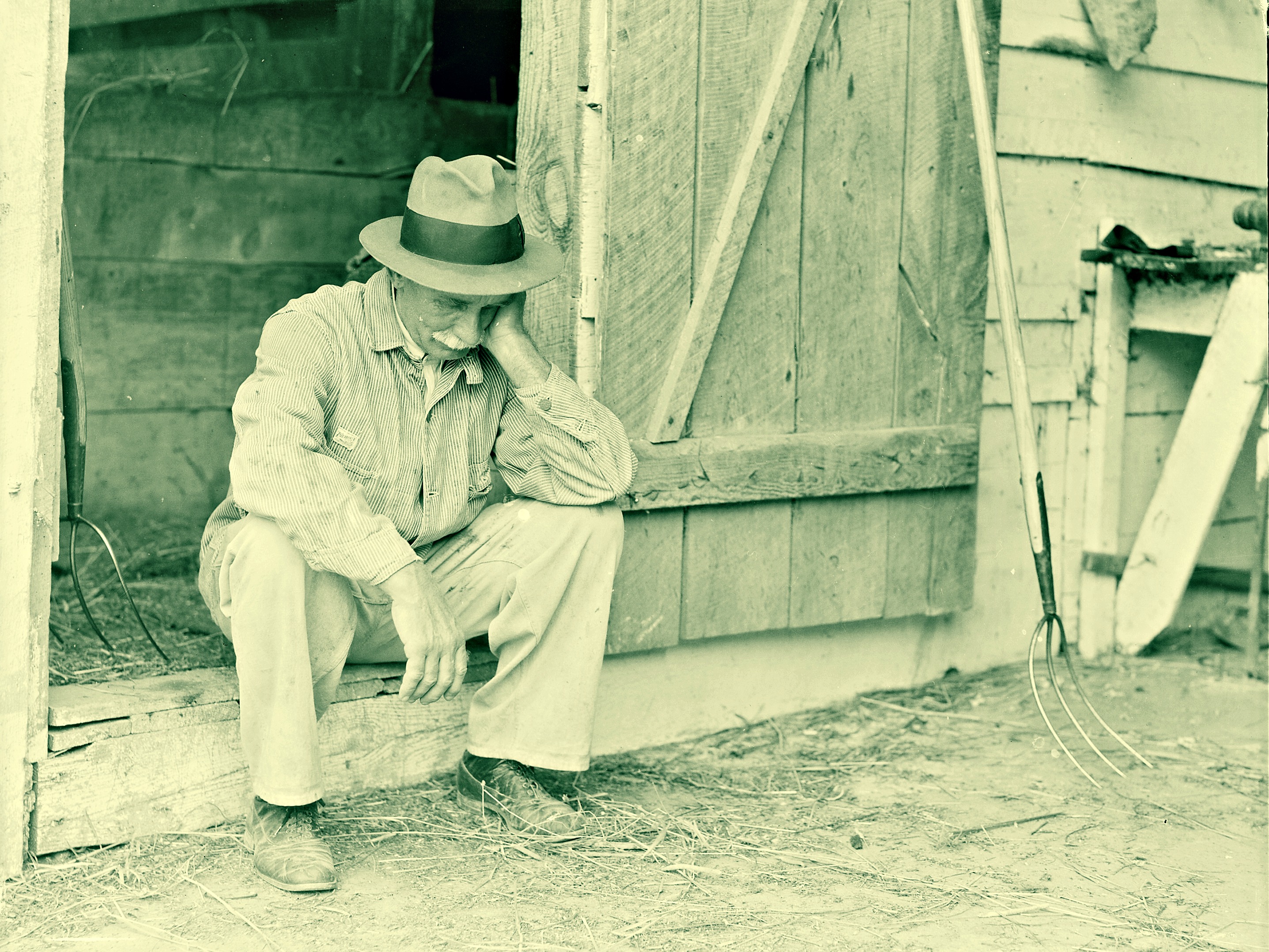 20 Years and GMO Crops Are Costing Canadian Farmers Says New Report