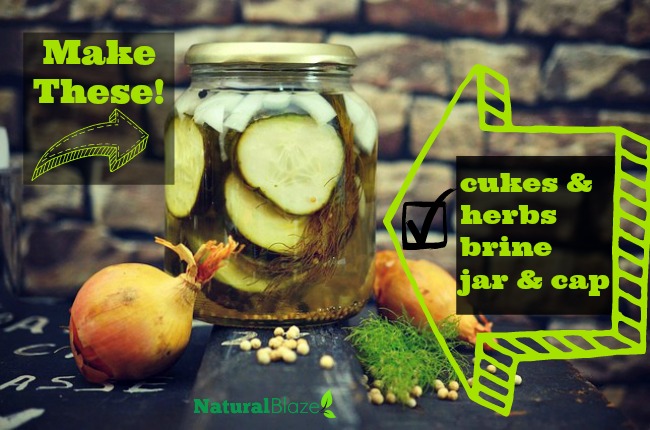 make your own fresh pickles